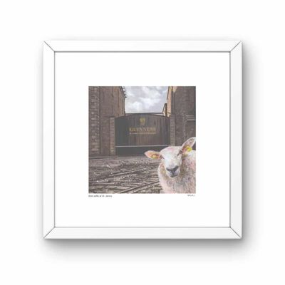 Genesis Celtic 6x4 Inch Frame